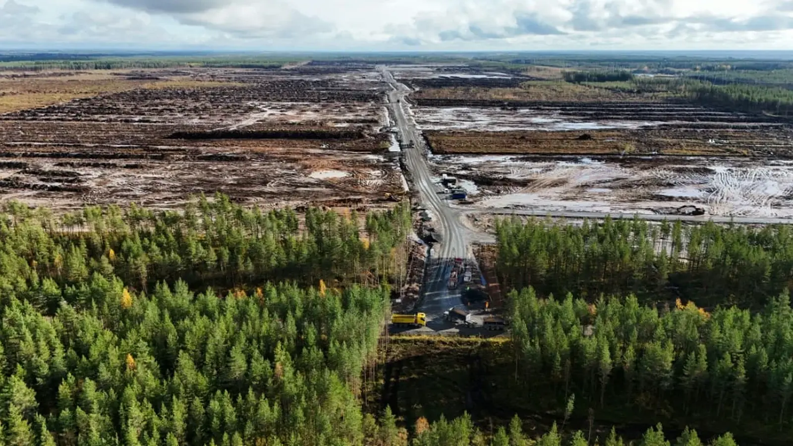 Google anklaget for massiv ulovlig skovrydning i Finland